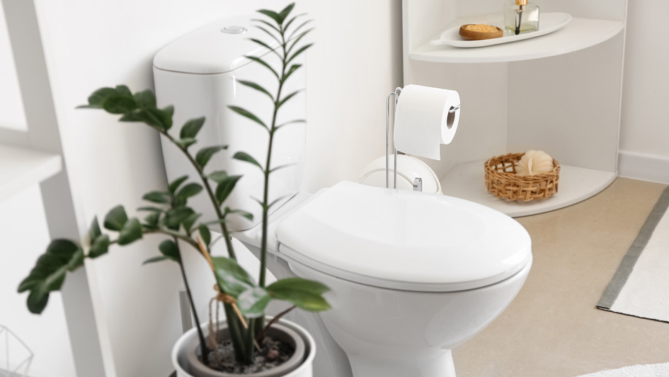 Answered: Why Won't My Toilet Quit Running and Five Other Common Issues